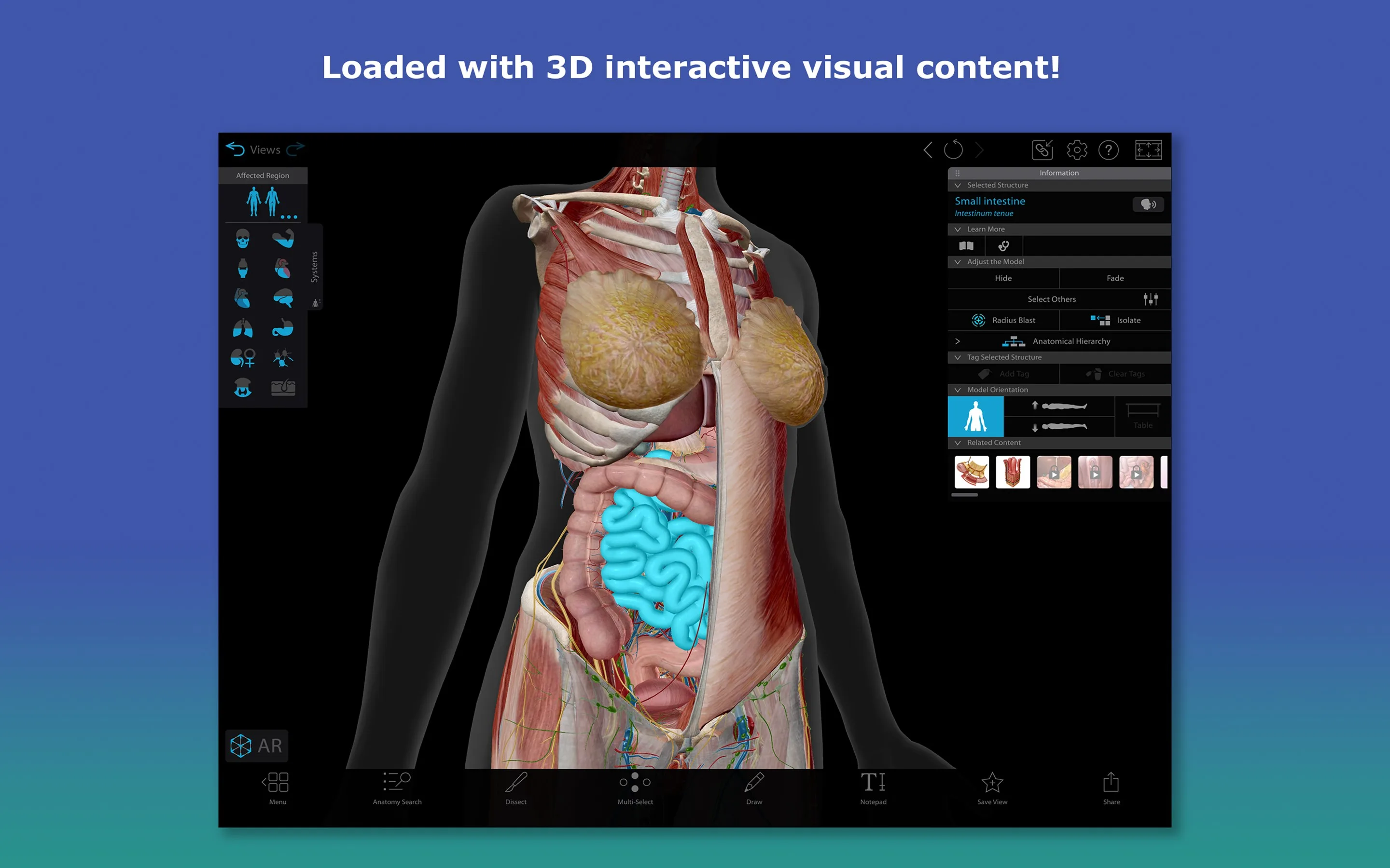 Atlas de anatomía humana 2026: Cuerpo humano completo en 3D screenshot 3