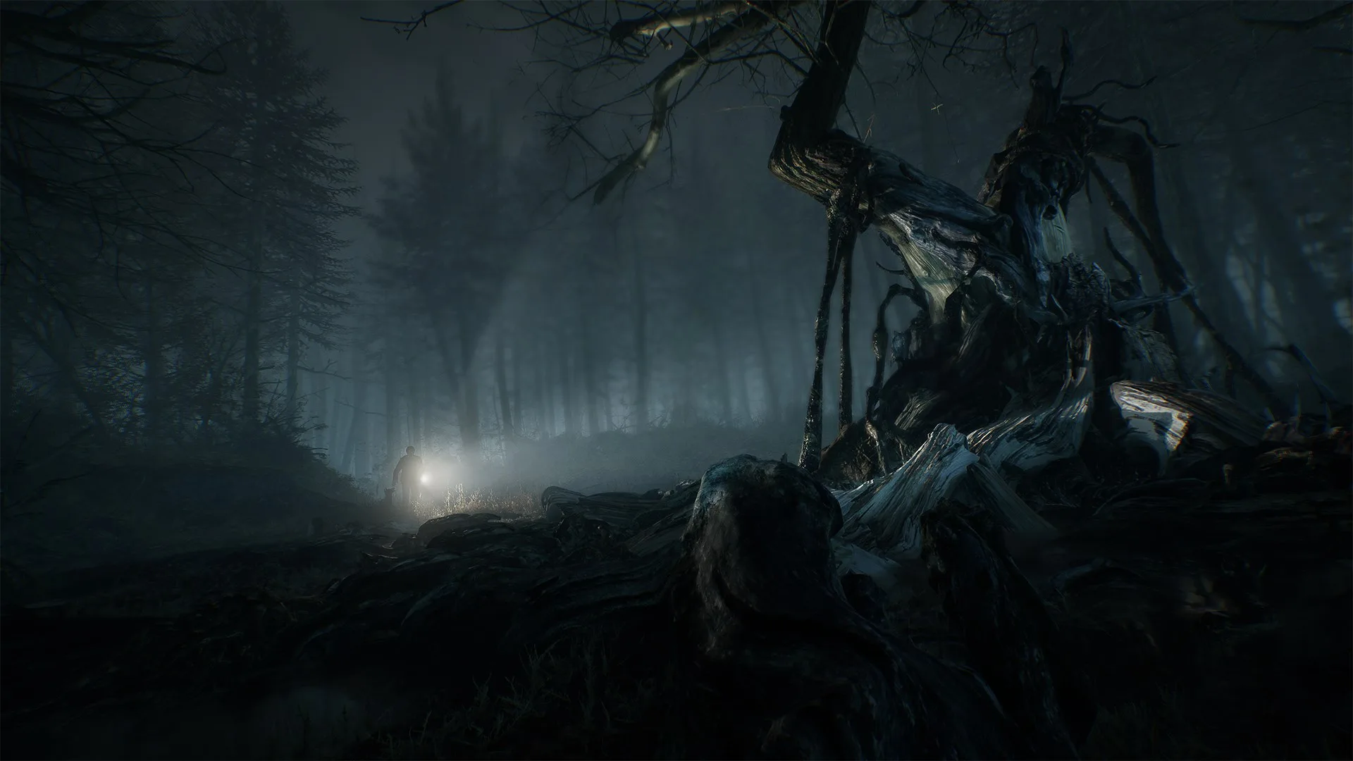 Blair Witch screenshot 3