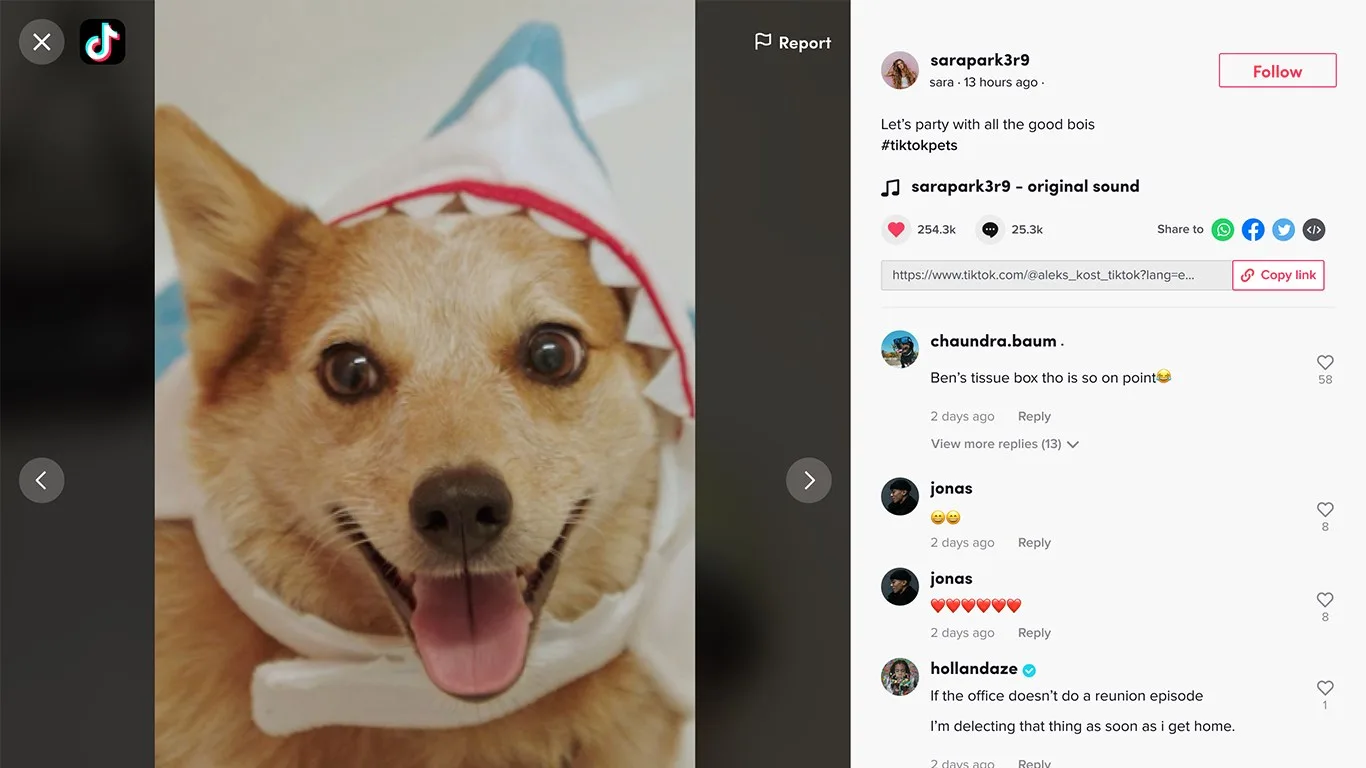 TikTok screenshot 5