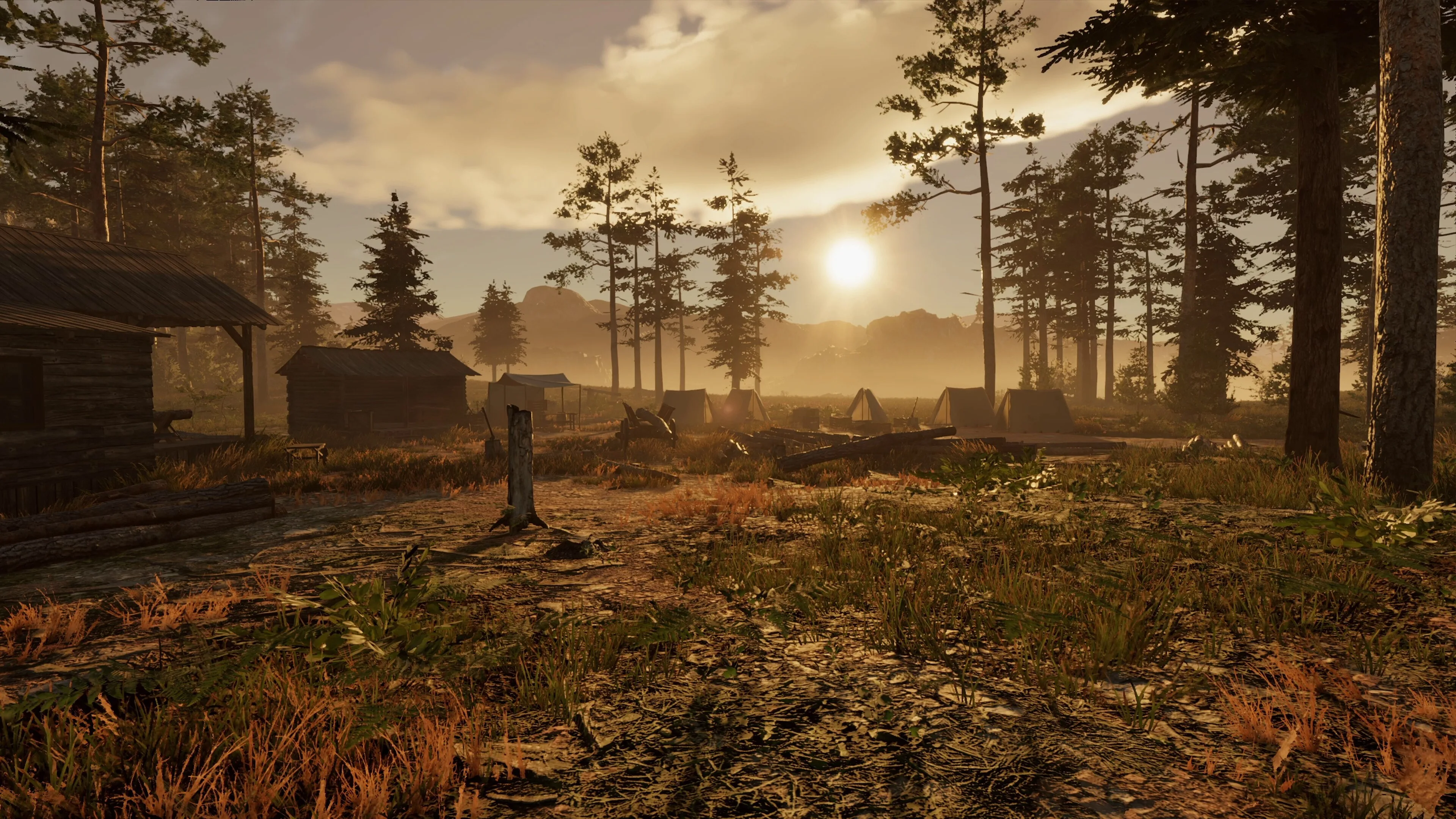 Wild West Legacy screenshot 5