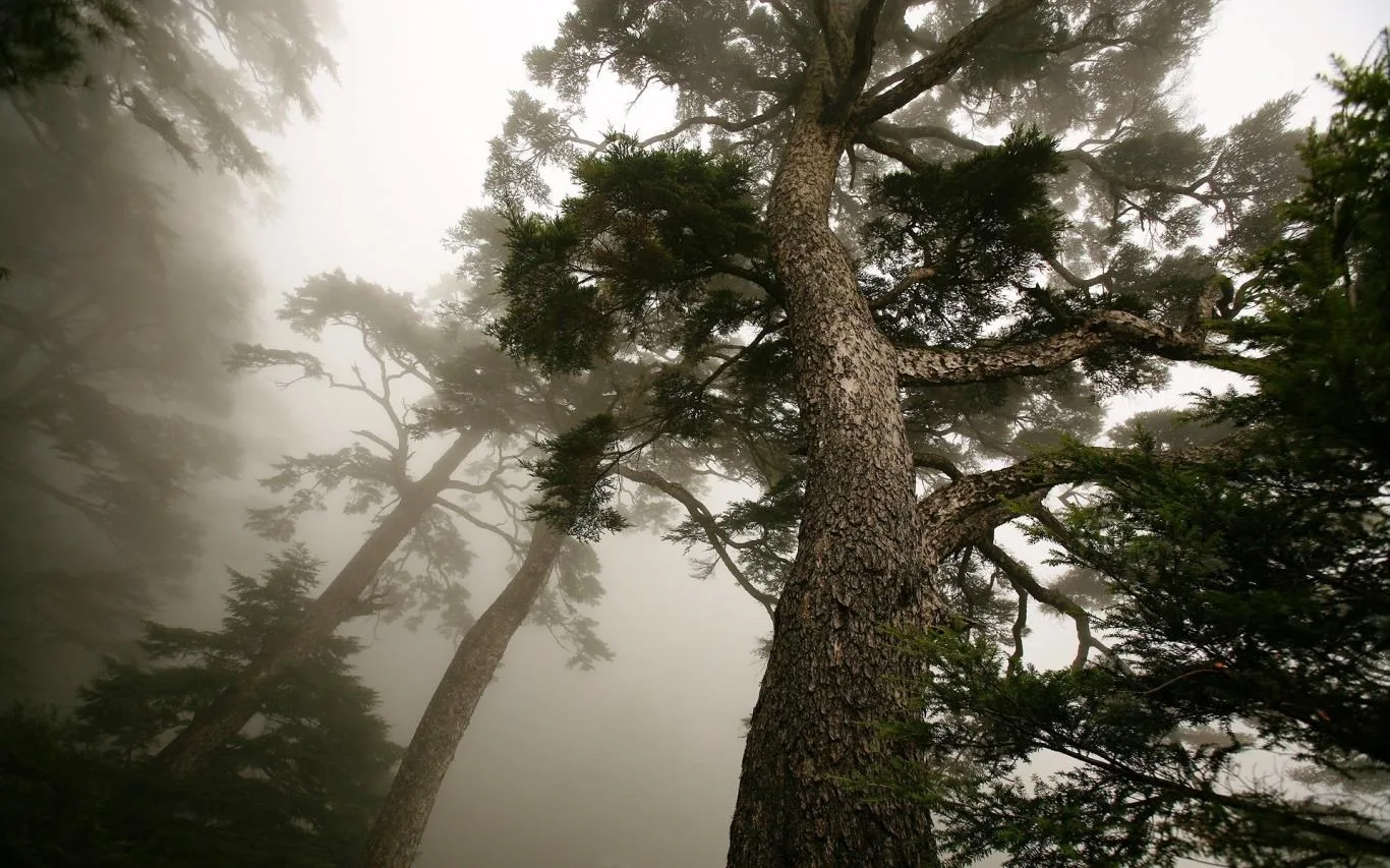 NengGao Mountain screenshot 1