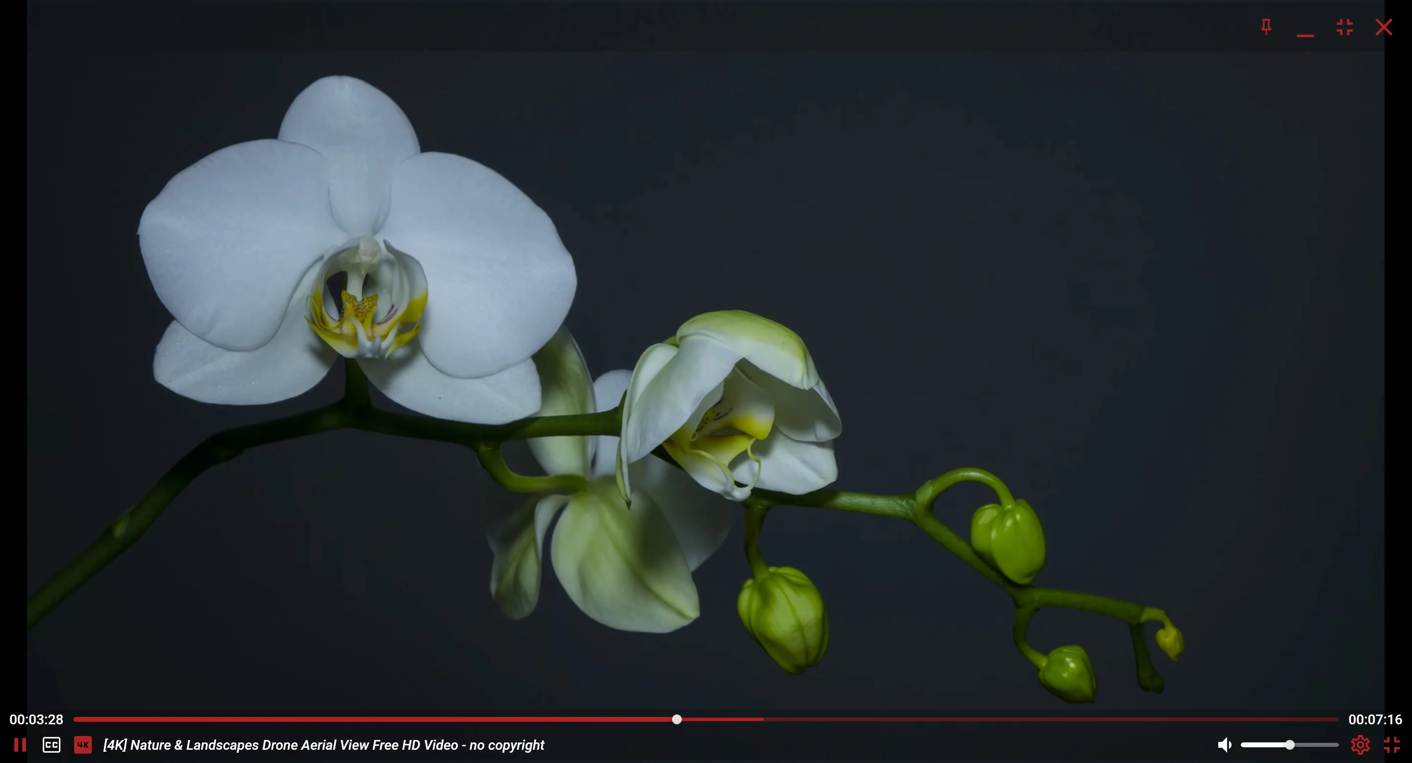 HEVC Video Player X screenshot 2