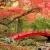 Bridges in Autumn