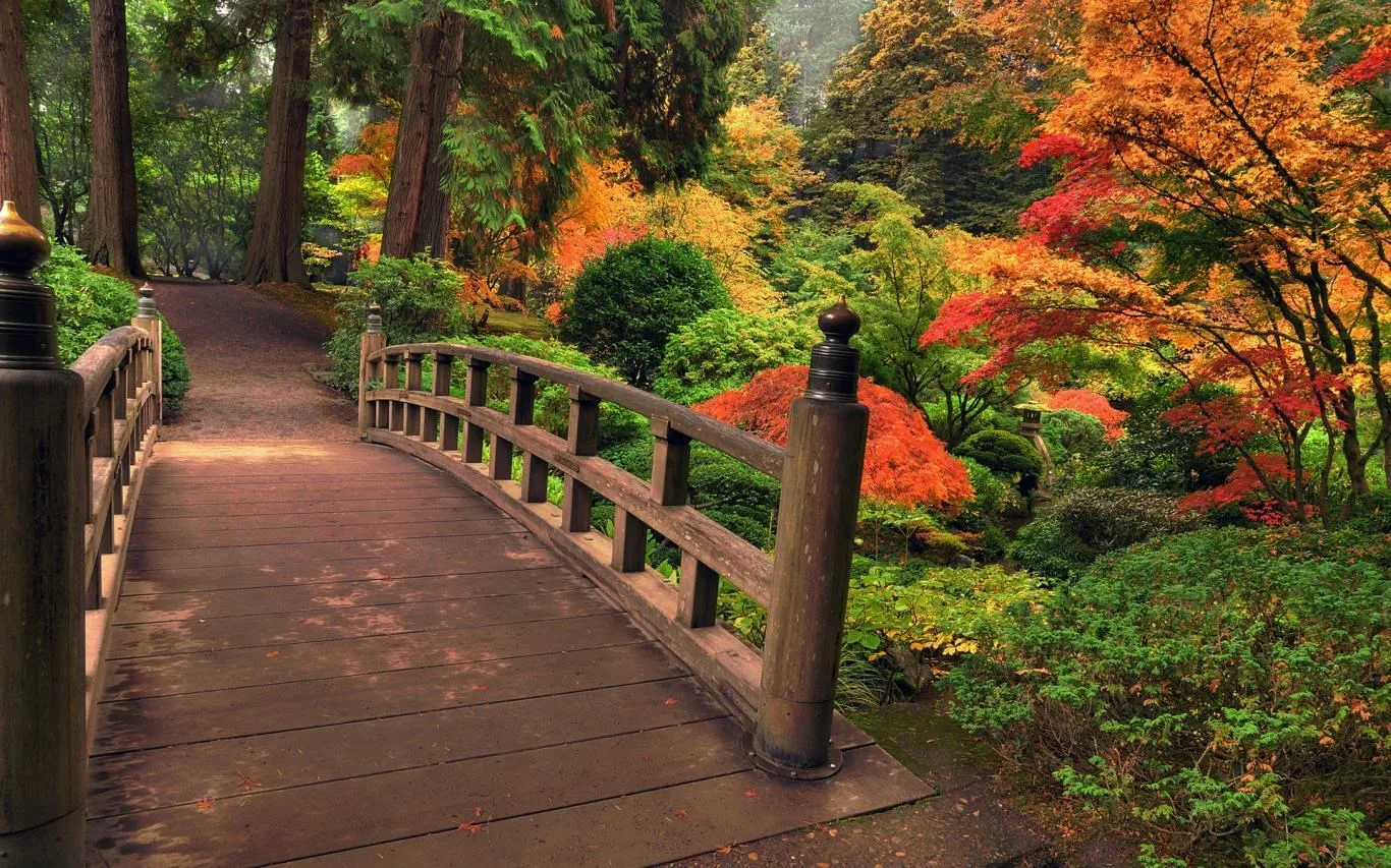 Bridges in Autumn screenshot 2