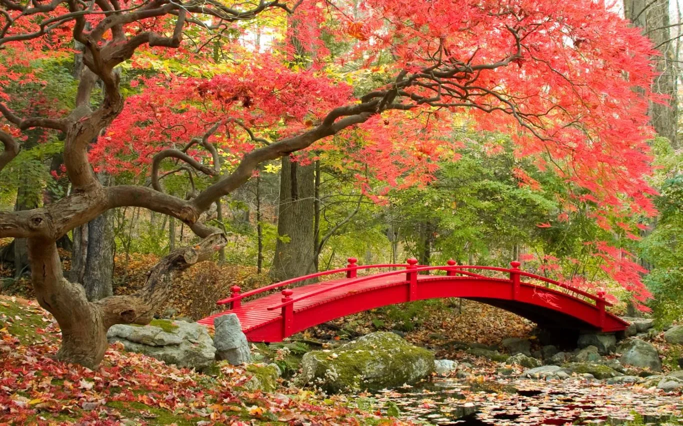 Bridges in Autumn screenshot 3