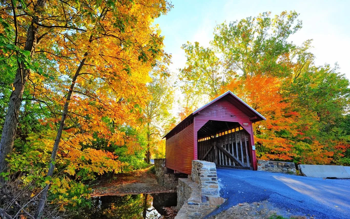 Bridges in Autumn screenshot 4