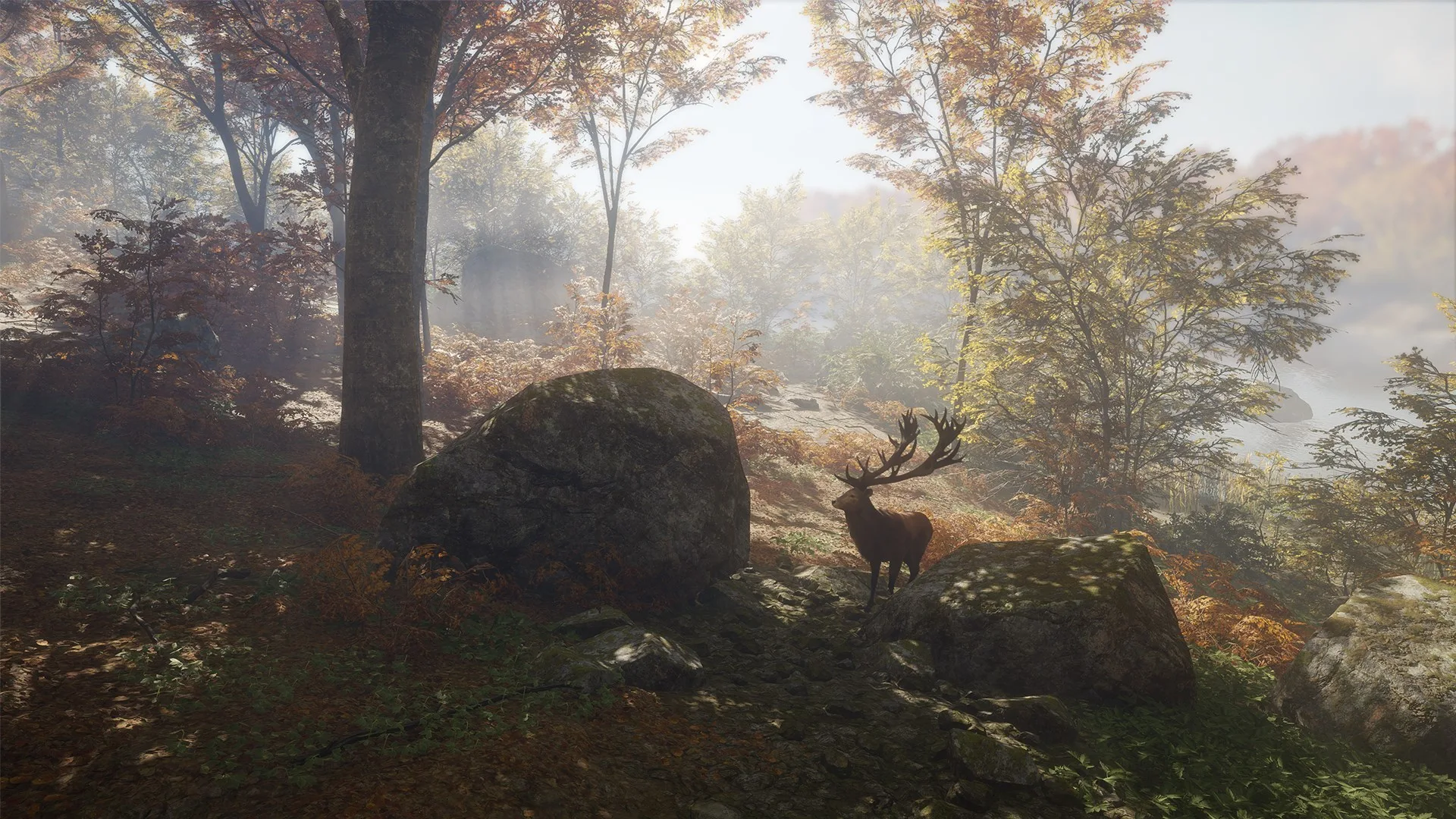 theHunter: Call of the Wild™ - Windows 10 screenshot 4