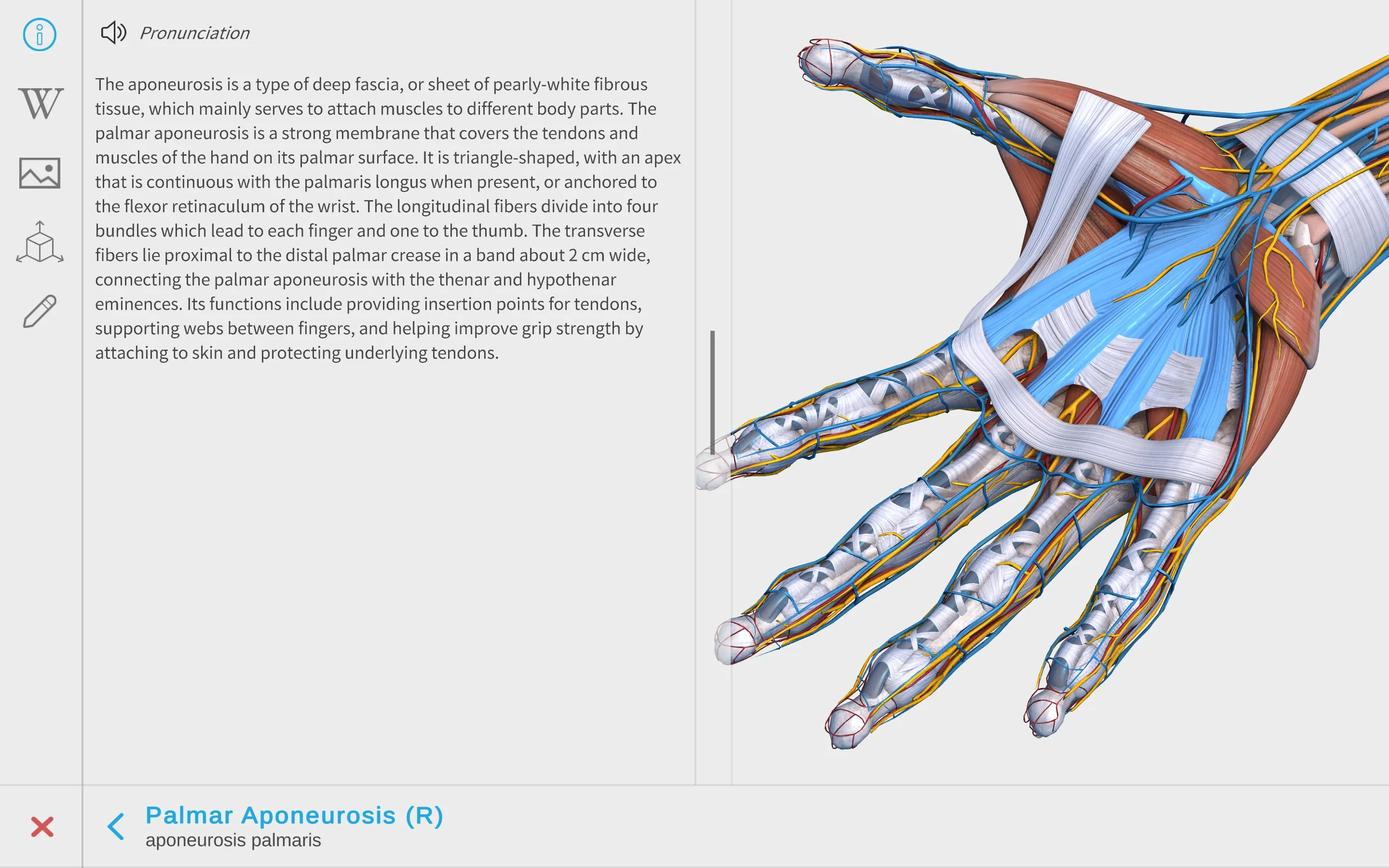 Visual Anatomy 3D - Human screenshot 1