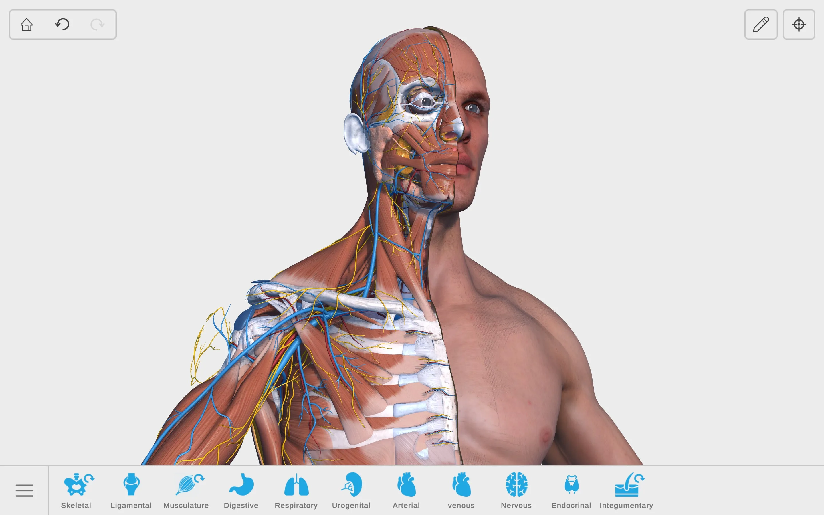 Visual Anatomy 3D - Human screenshot 2