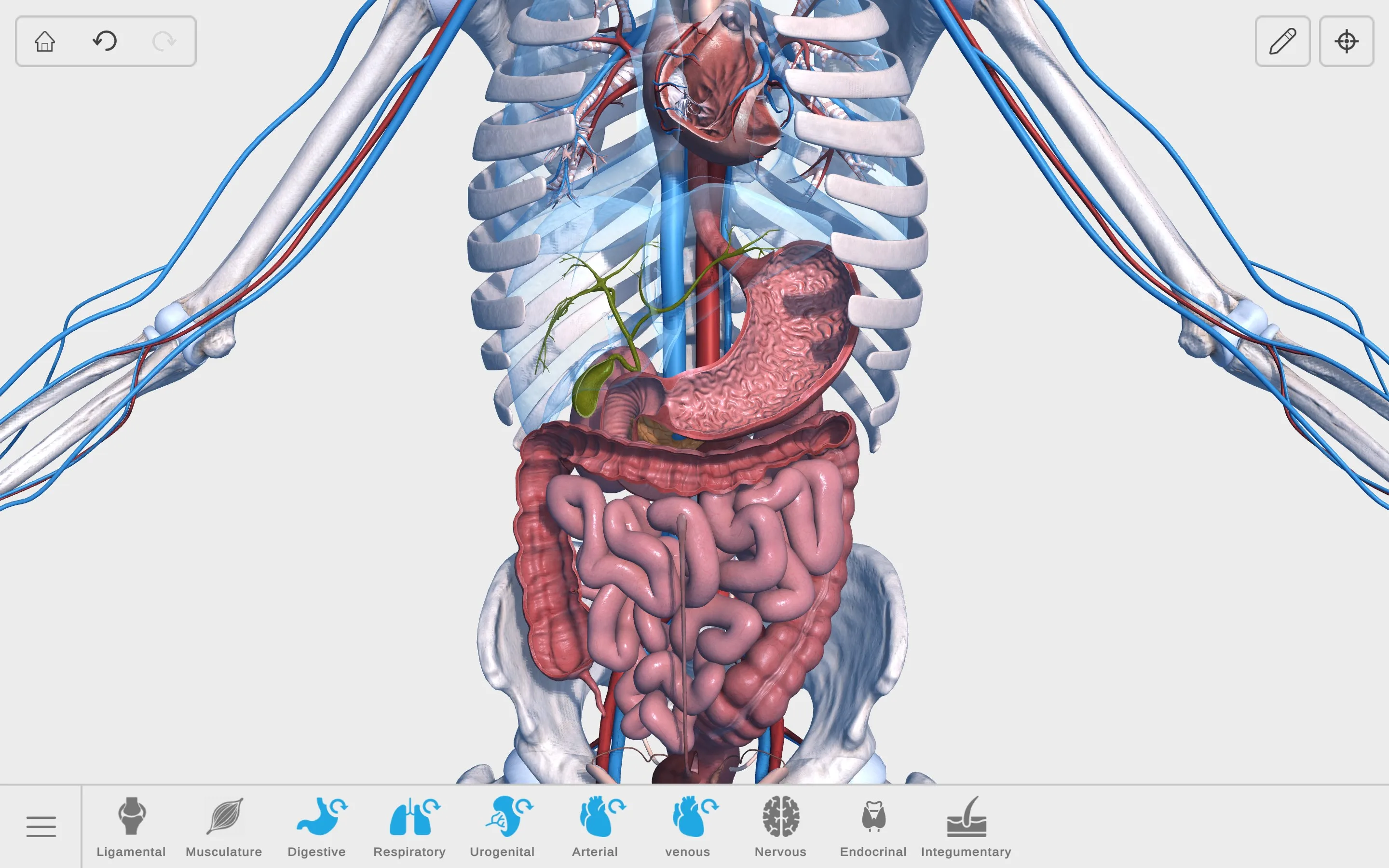 Visual Anatomy 3D - Human screenshot 3