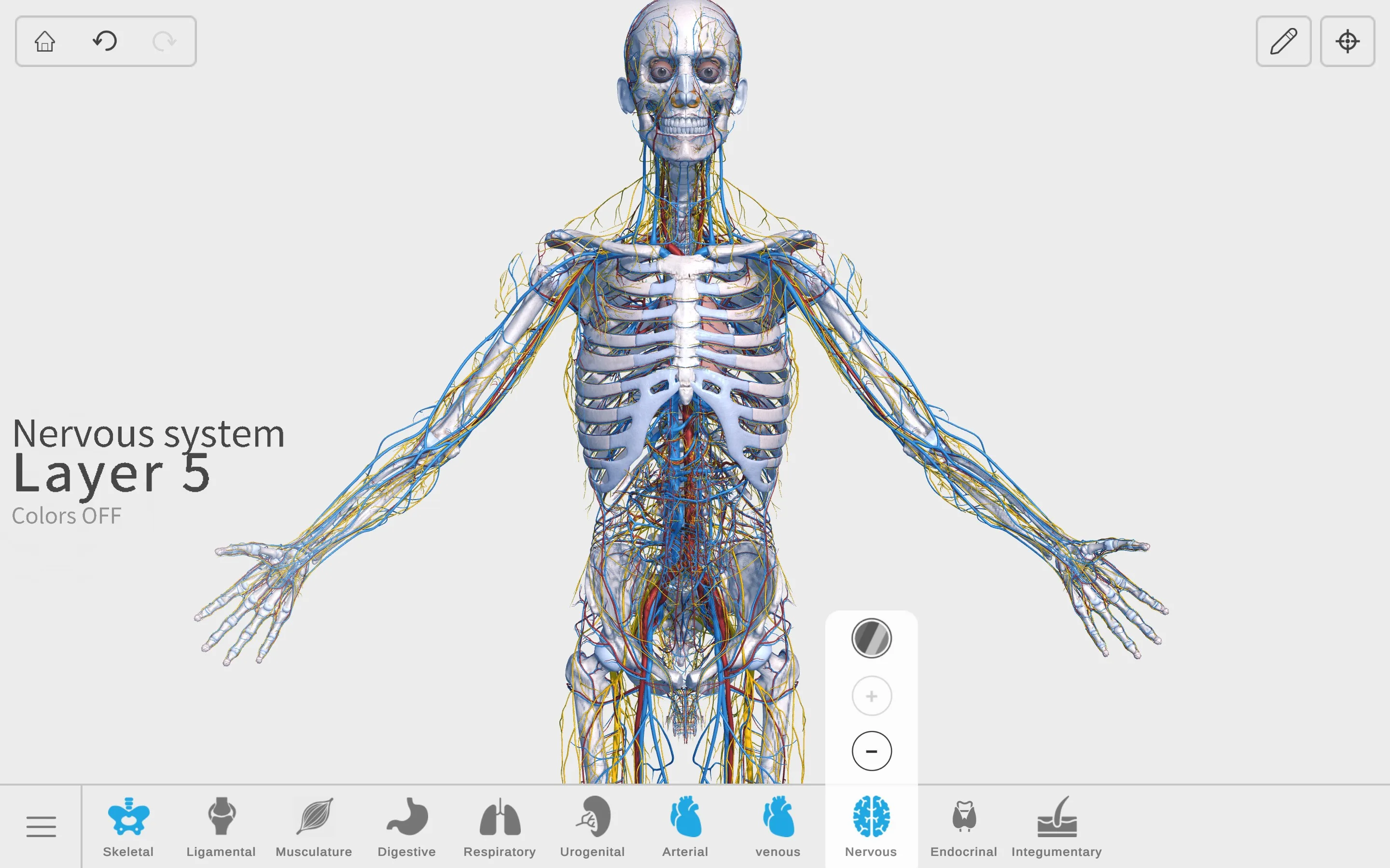 Visual Anatomy 3D - Human screenshot 4
