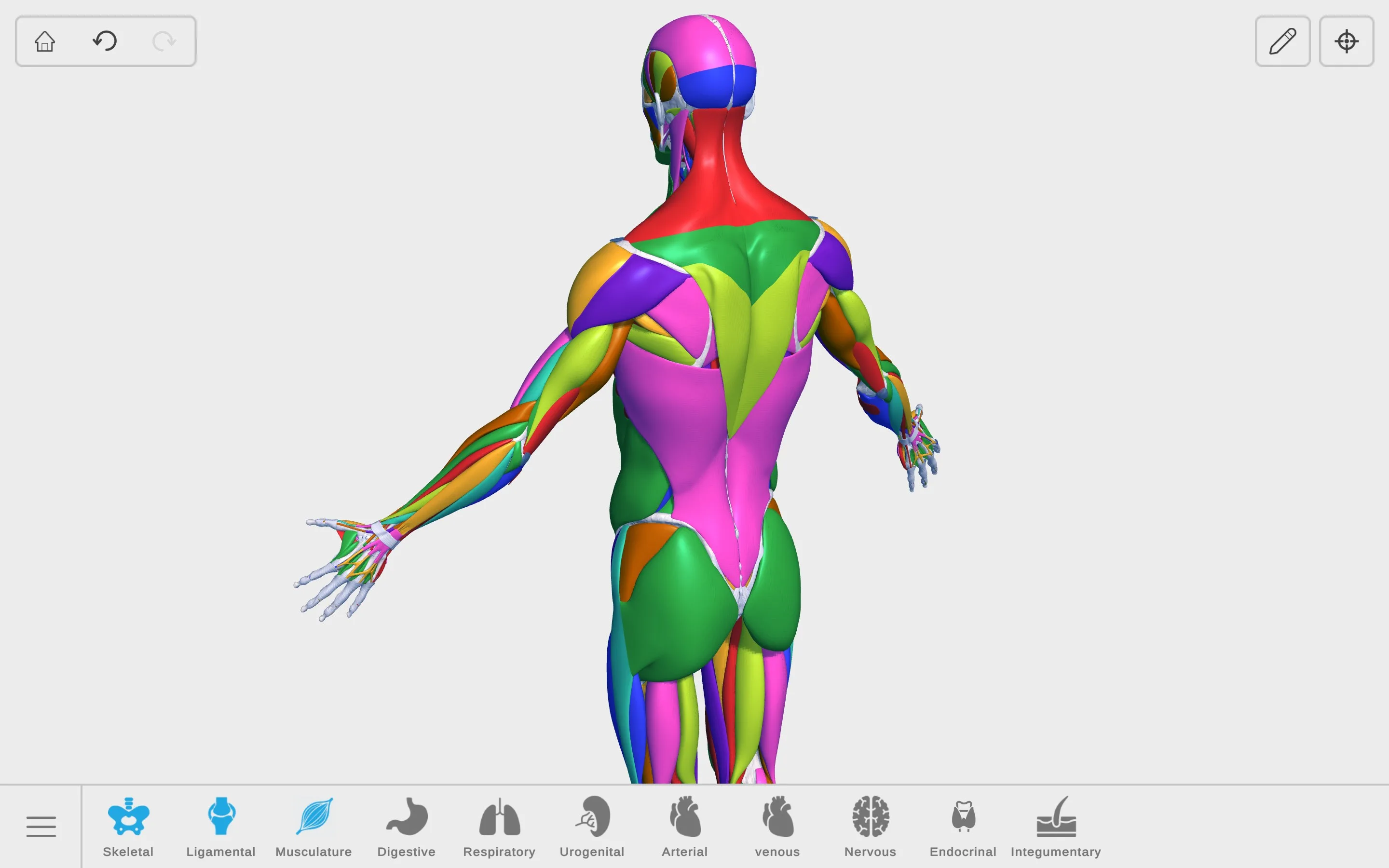 Visual Anatomy 3D - Human screenshot 5