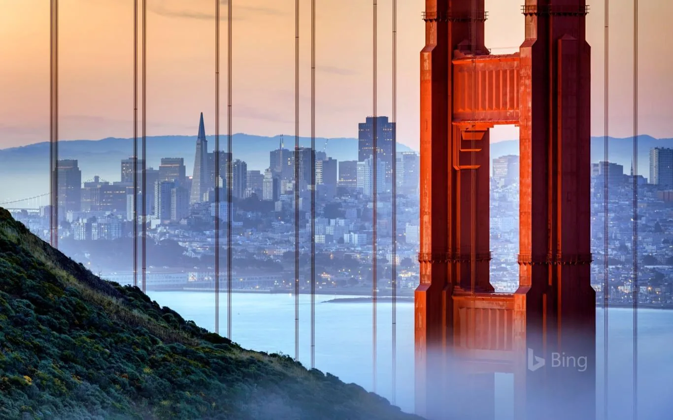 Best of Bing 2018 Exclusive screenshot 1