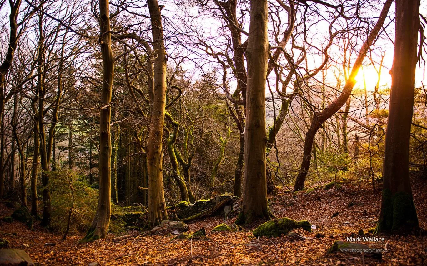 Isle of Man by Mark Wallace screenshot 1