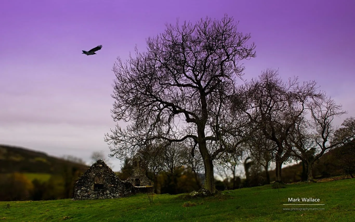 Isle of Man by Mark Wallace screenshot 3