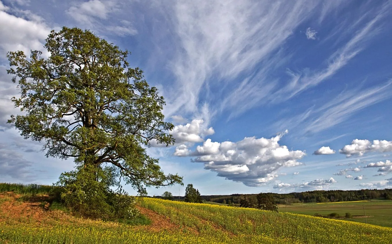 Latvian Landscapes screenshot 3