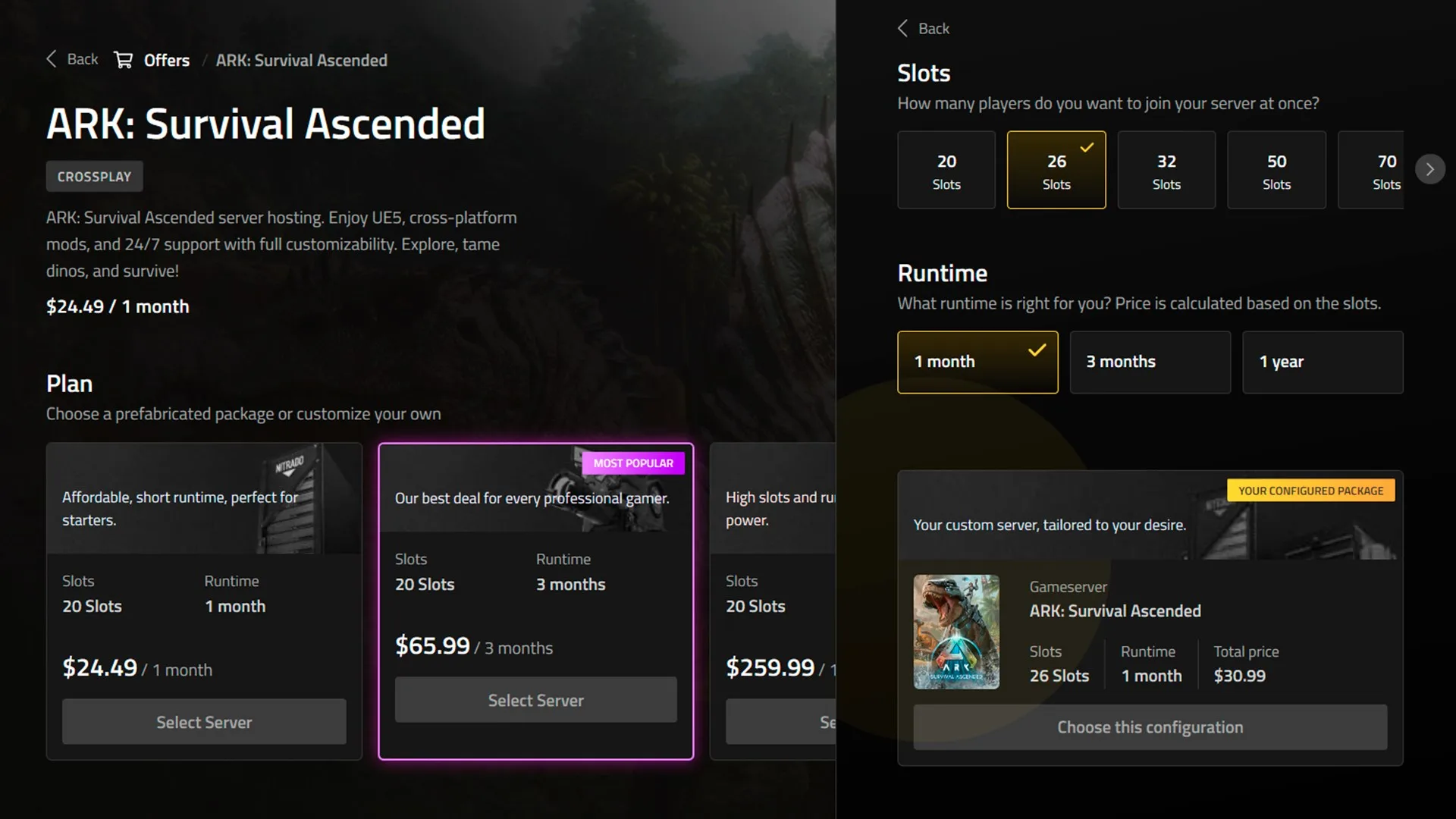 Nitrado screenshot 2