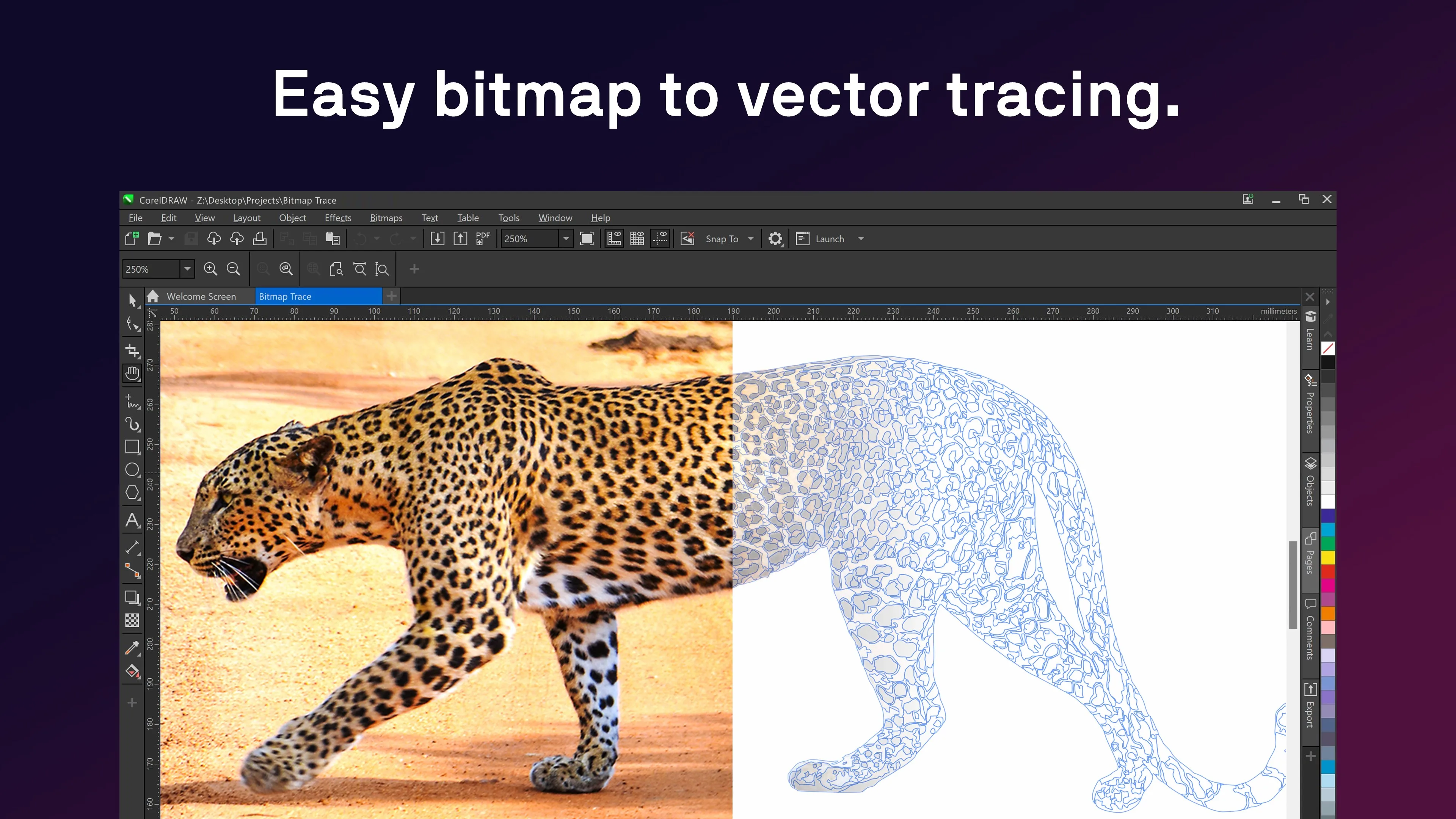 CorelDRAW Microsoft Store Edition screenshot 4