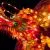 Celebrate Lunar New Year