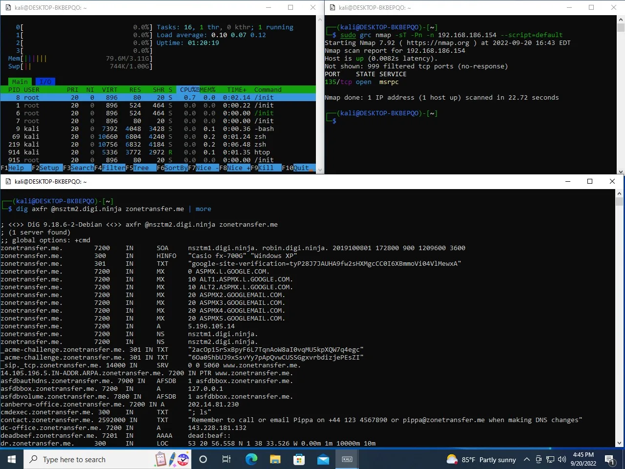Kali Linux screenshot 3