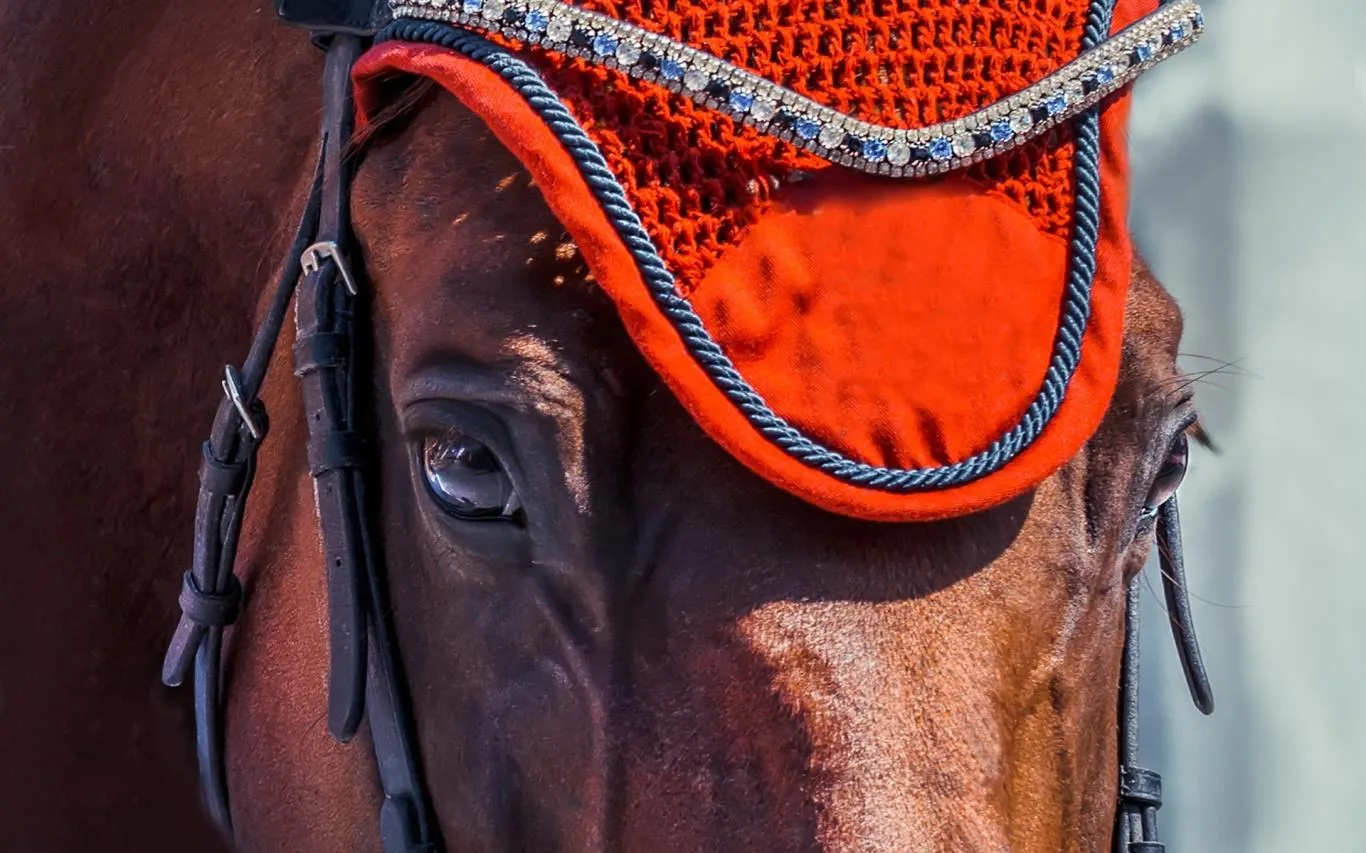 Beauty of Horses screenshot 4