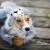 Dogs in Disguise