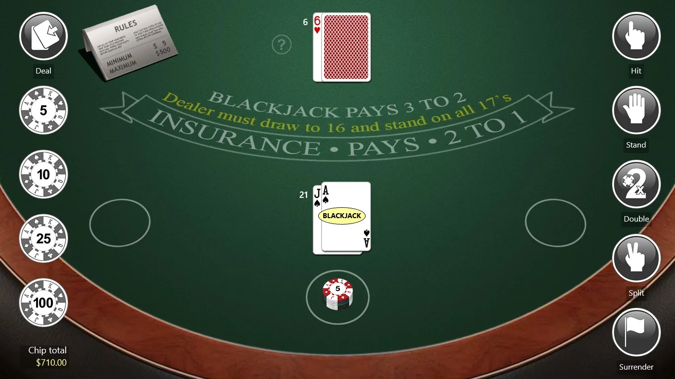 Blackjack Assassin screenshot 1