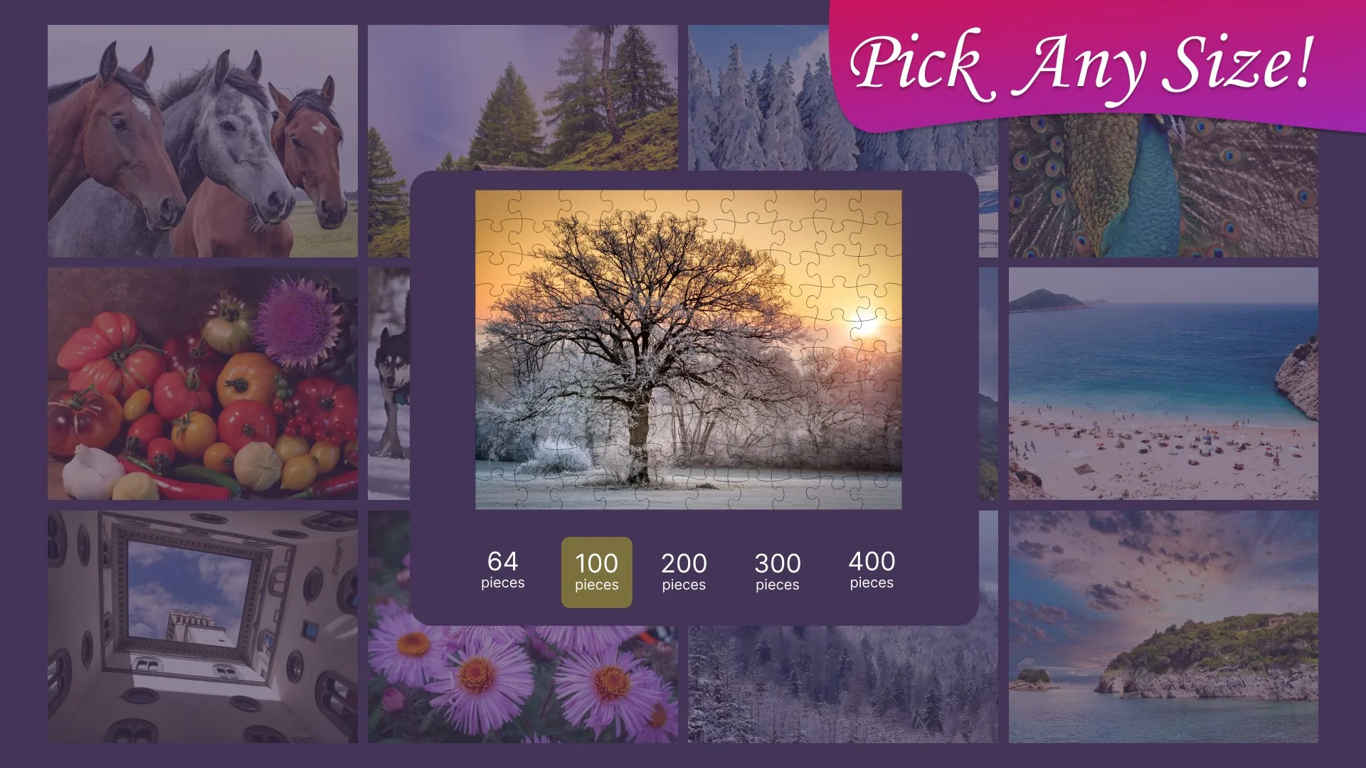 Jigsaw Puzzle Frenzy screenshot 1
