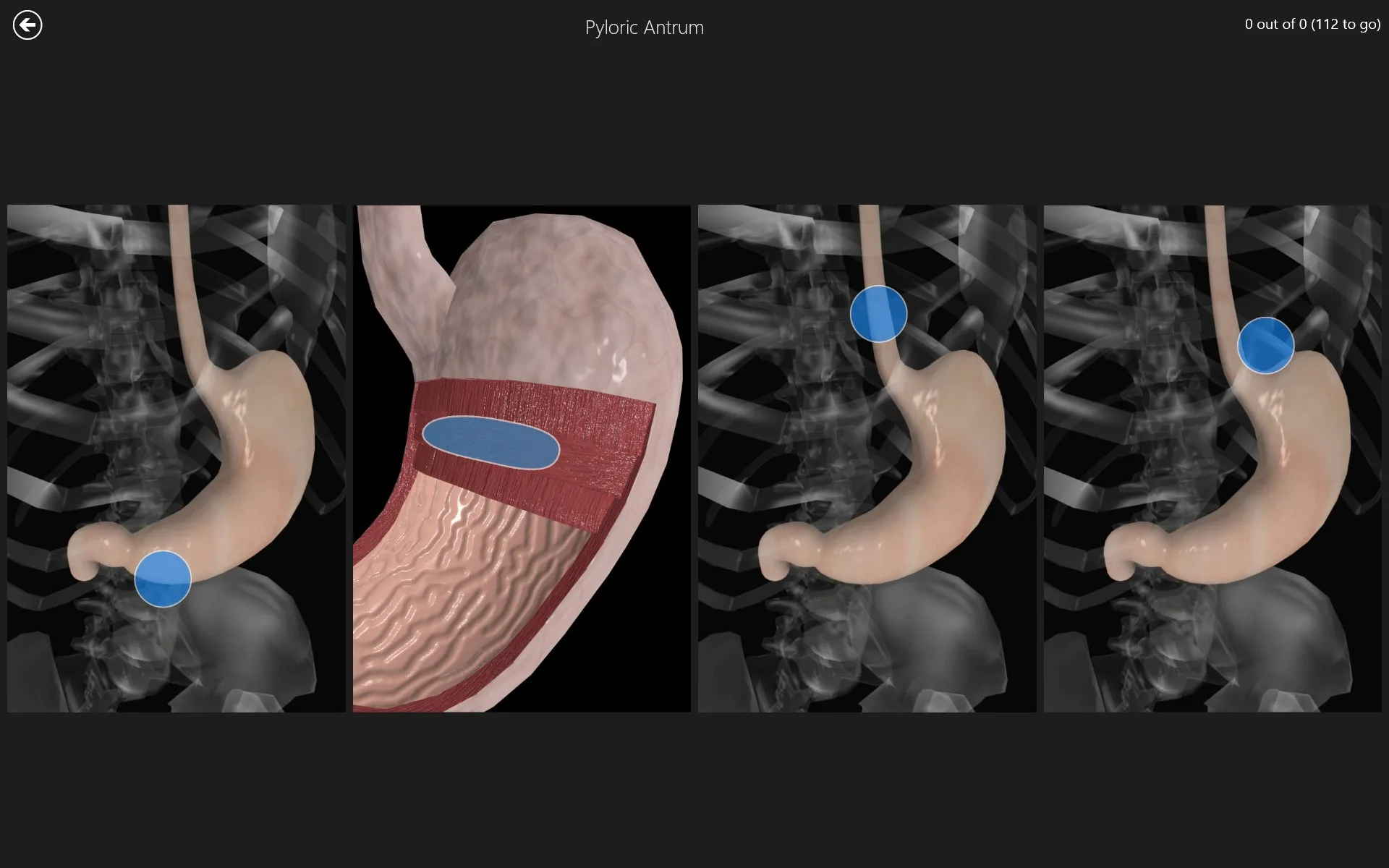 Anatomy Quiz Pro screenshot 5