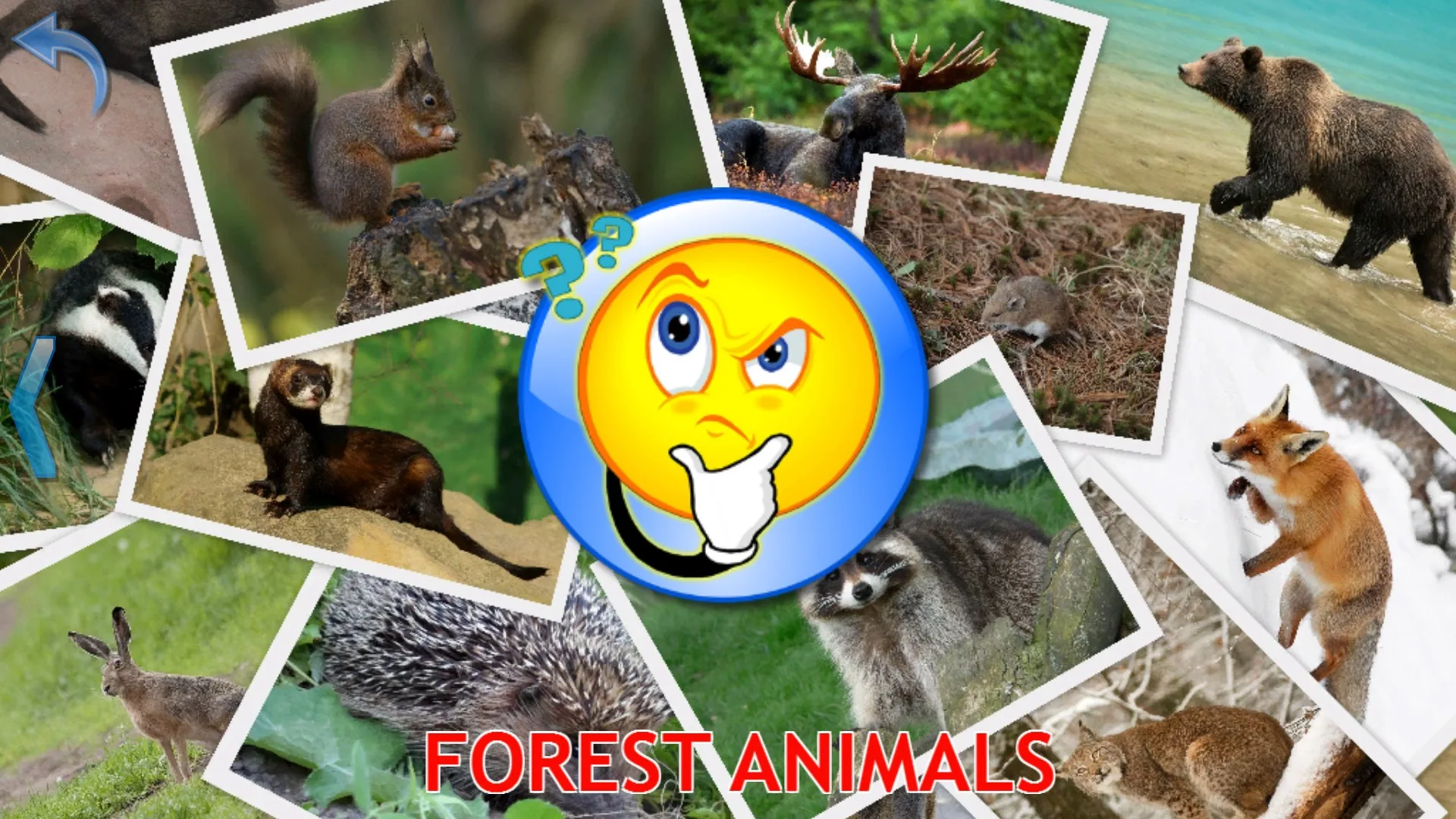 Animales para niños (juego completo) screenshot 5