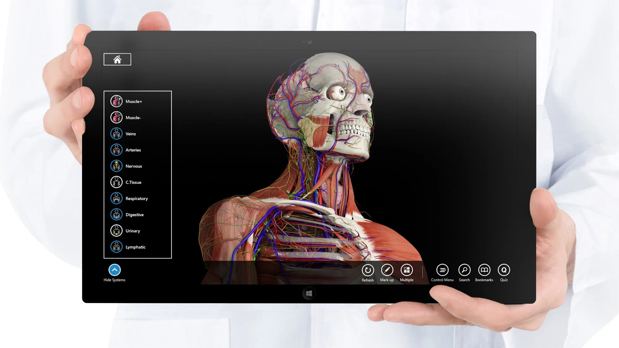 Essential Anatomy 3 for Organizations screenshot 1