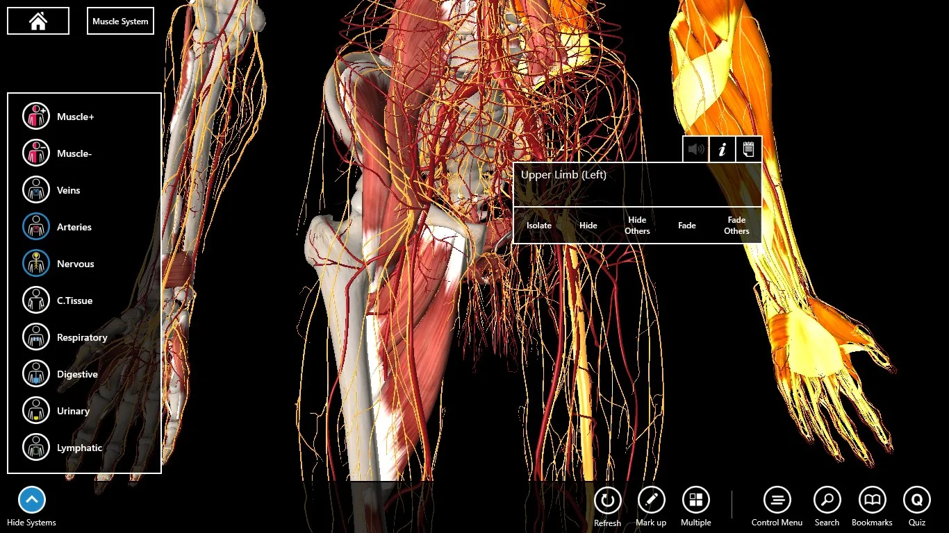 Essential Anatomy 3 for Organizations screenshot 3
