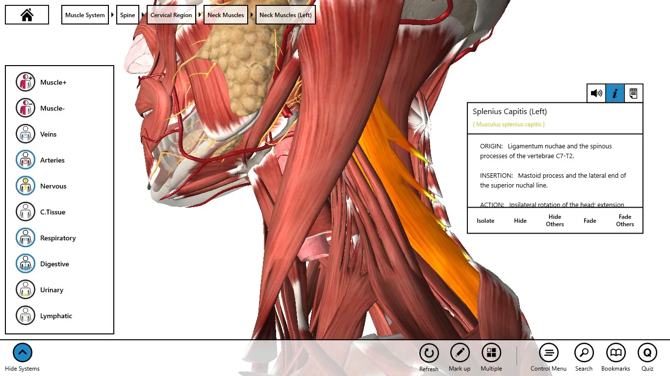 Essential Anatomy 3 for Organizations screenshot 4