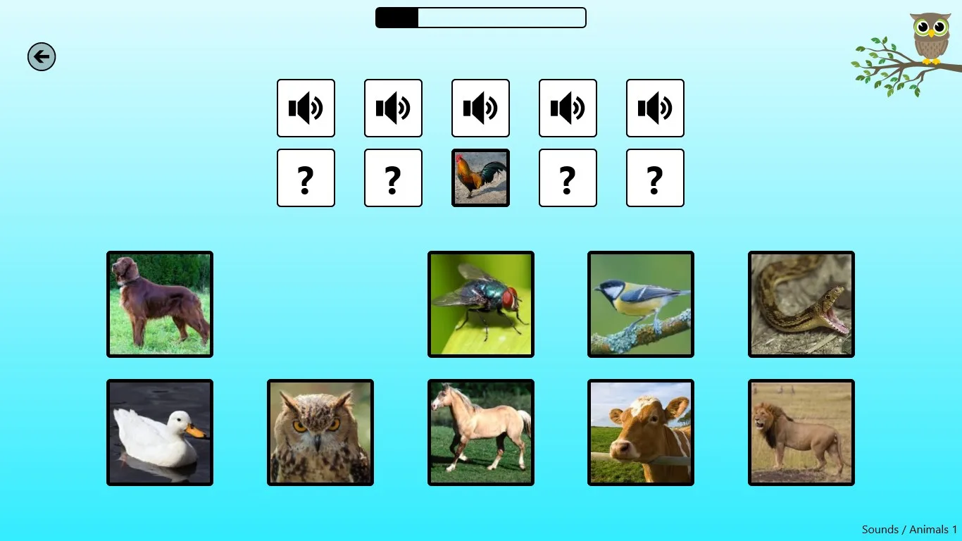 Kids Play & Learn screenshot 5