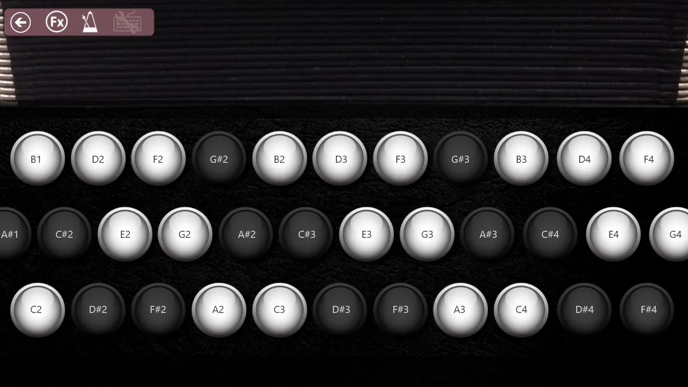 Accordion 10 screenshot 1