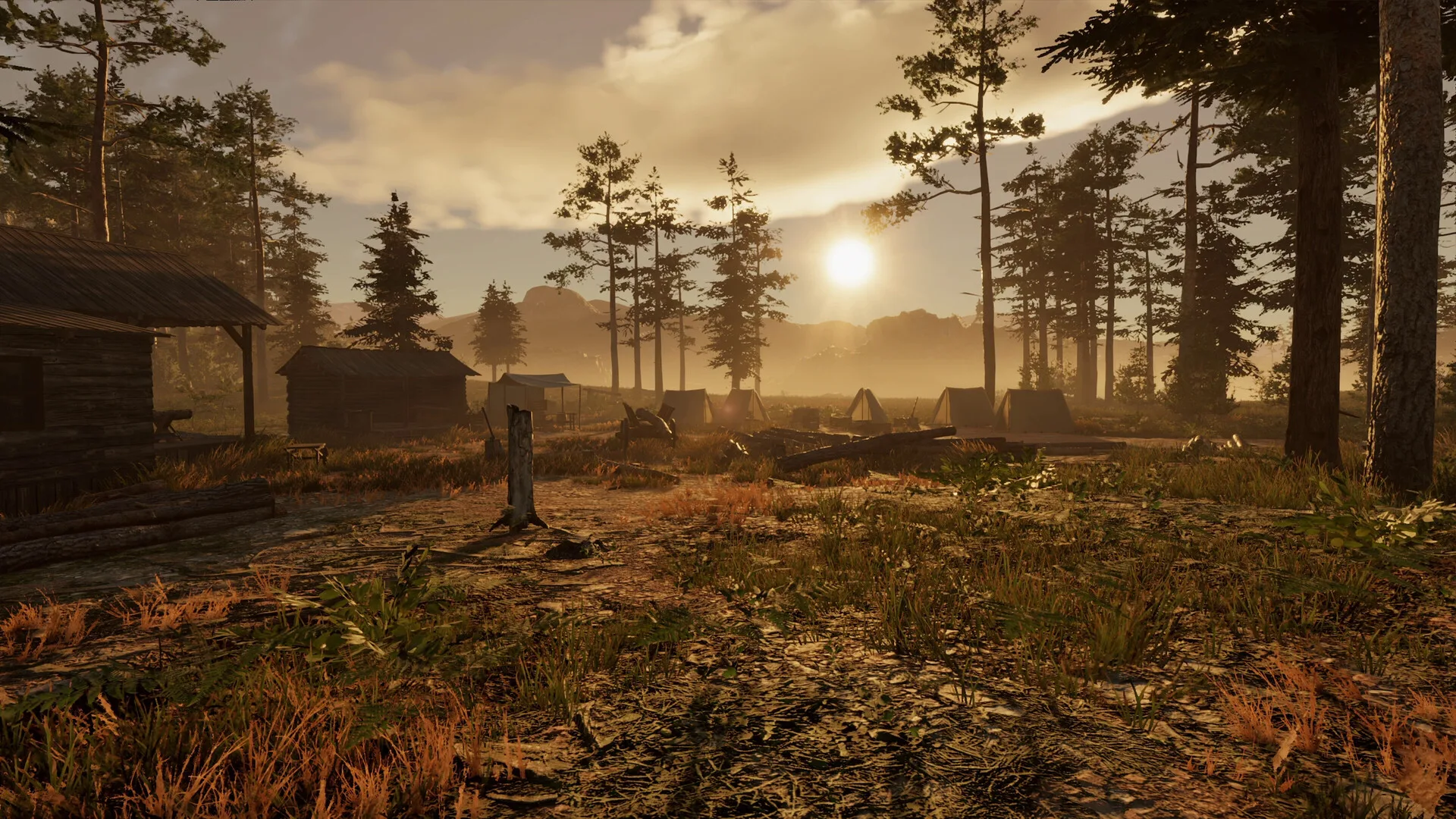 Wild West Legacy screenshot 3