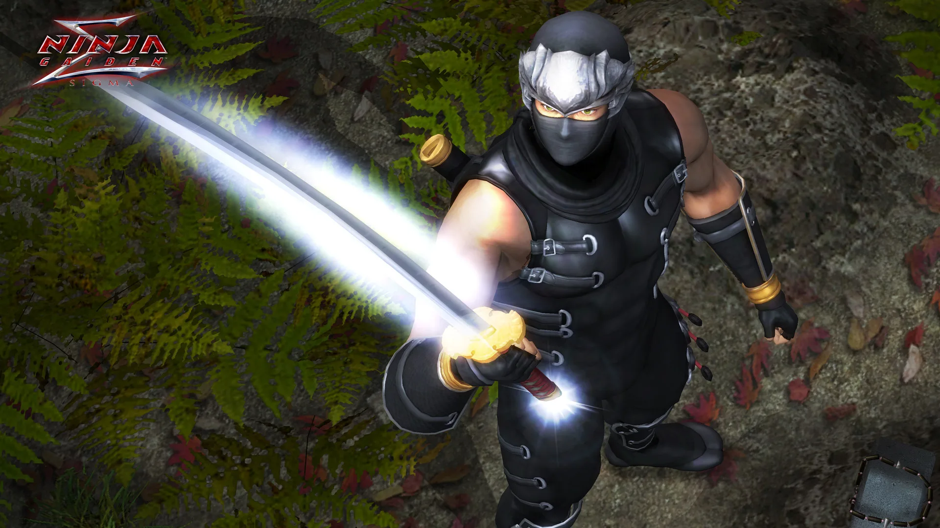 NINJA GAIDEN 3: Razor's Edge [NINJA GAIDEN: Master Collection] screenshot 5