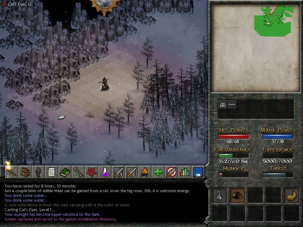 Eschalon: Book II screenshot 2