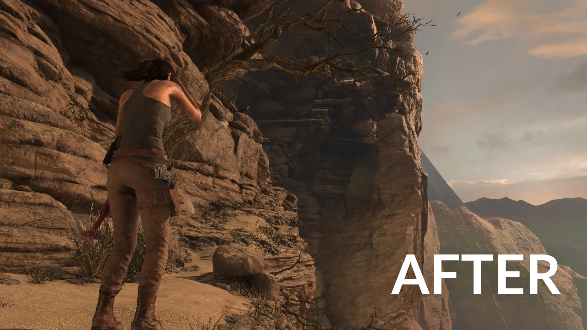 Borderless Gaming screenshot 2