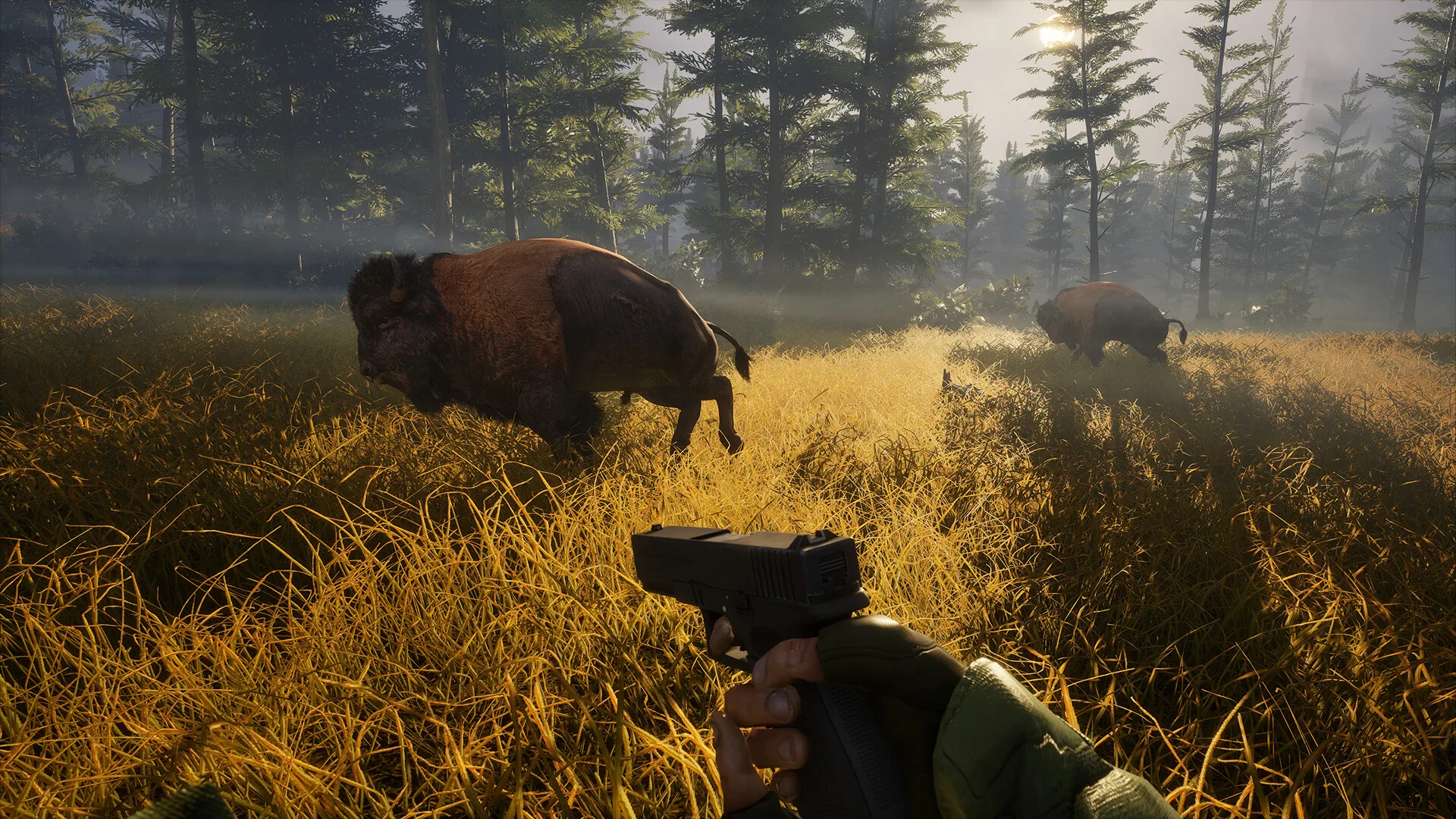BIGFOOT screenshot 2