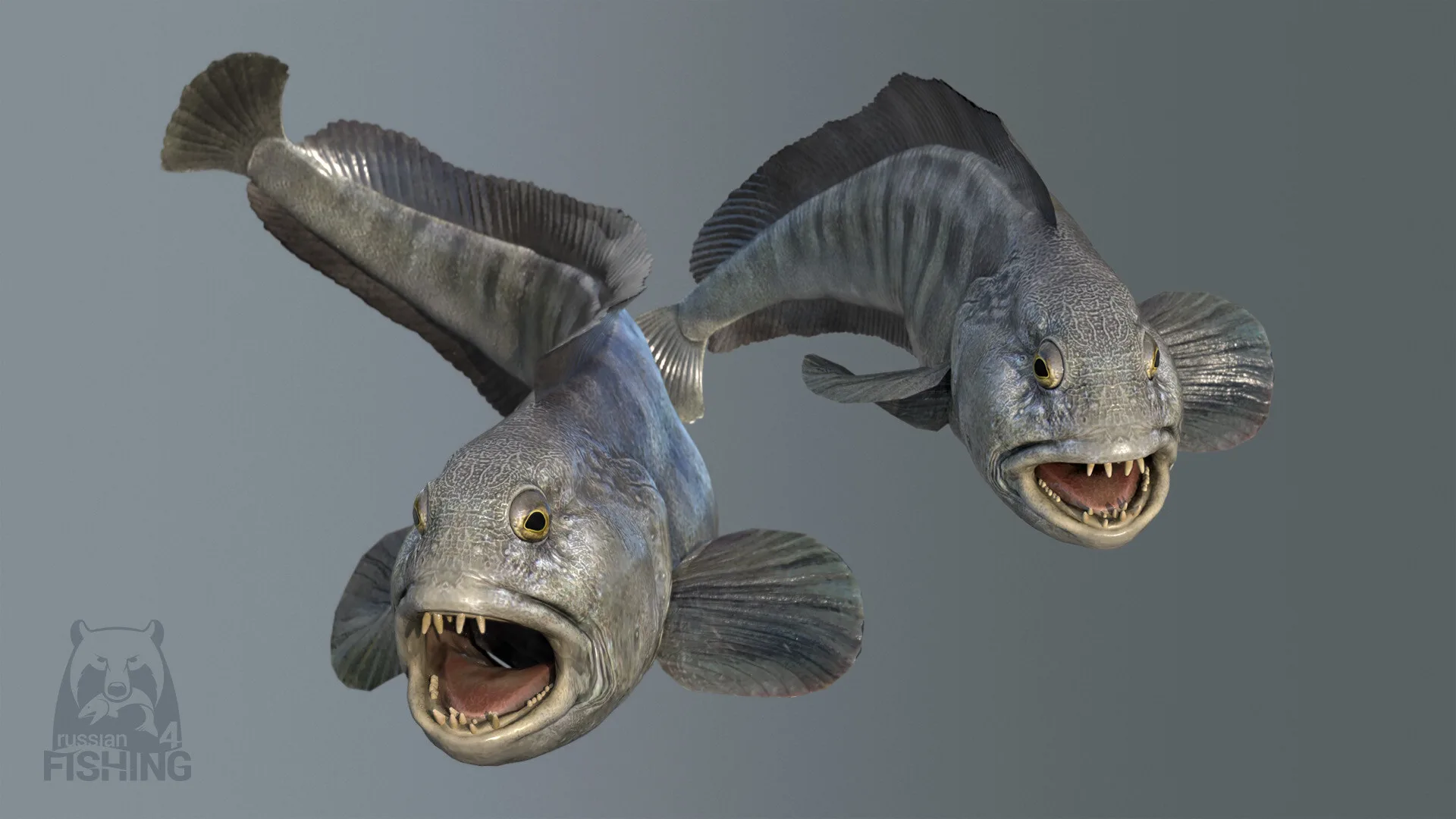 Russian Fishing 4 screenshot 5